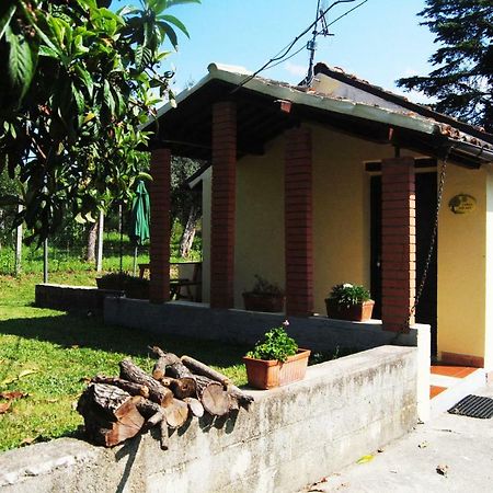 L'Albero Delle Noci Villa Lanciano Exterior foto