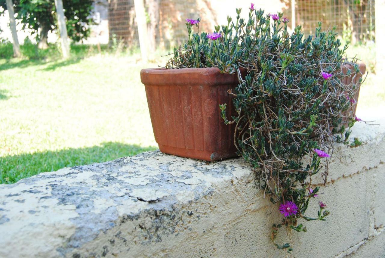 L'Albero Delle Noci Villa Lanciano Exterior foto